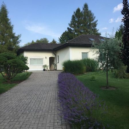 Studiovy Apartman V Zahrade Police nad Metují Exteriör bild